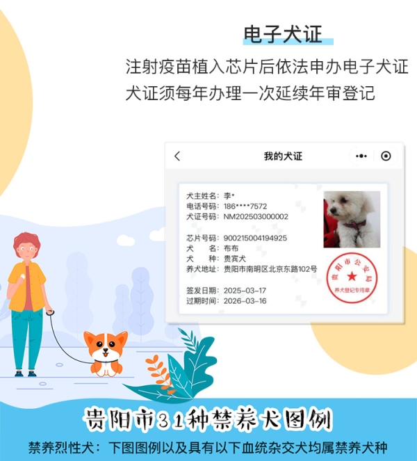 如何办证？贵阳市养狗需要办理的手续和注意事项，2025养犬新条例